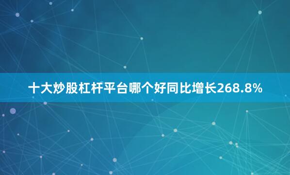 十大炒股杠杆平台哪个好同比增长268.8%