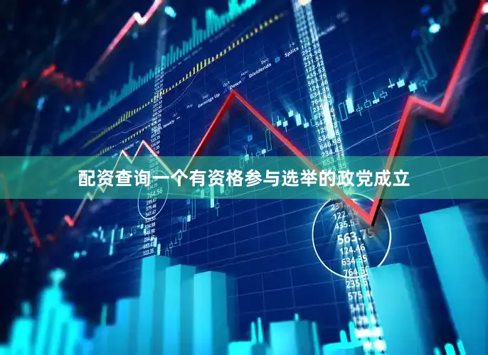 配资查询一个有资格参与选举的政党成立