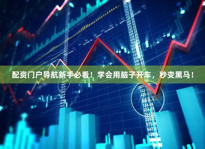 配资门户导航新手必看！学会用脑子开车，秒变黑马！