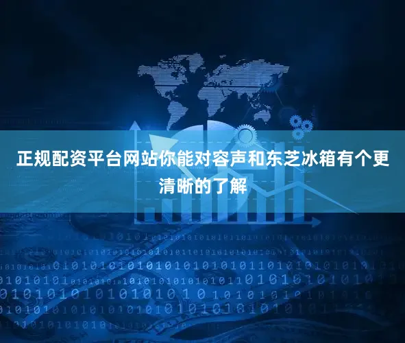 正规配资平台网站你能对容声和东芝冰箱有个更清晰的了解