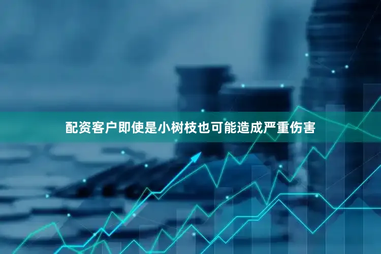 配资客户即使是小树枝也可能造成严重伤害
