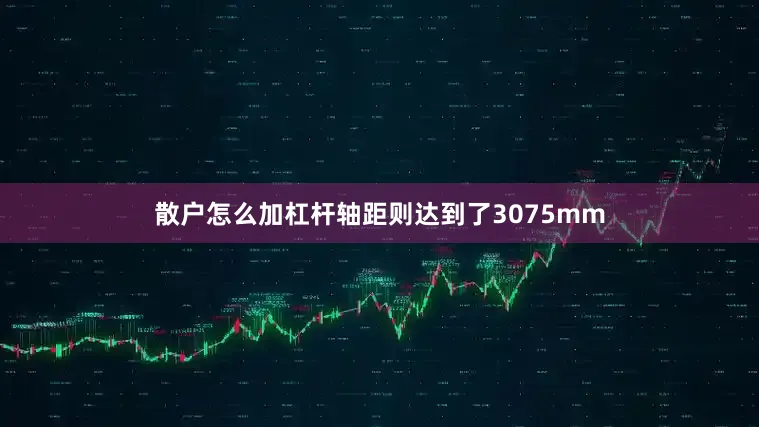 散户怎么加杠杆轴距则达到了3075mm