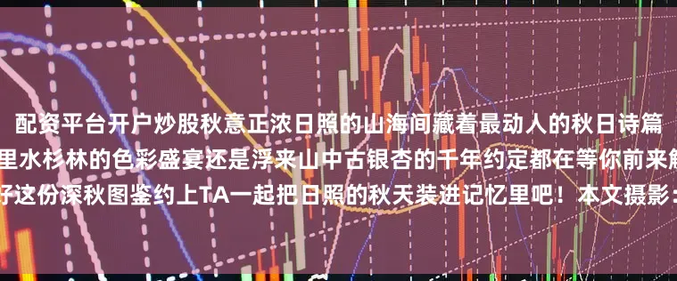 配资平台开户炒股秋意正浓日照的山海间藏着最动人的秋日诗篇无论是日照海滨国家森林公园里水杉林的色彩盛宴还是浮来山中古银杏的千年约定都在等你前来解锁快收好这份深秋图鉴约上TA一起把日照的秋天装进记忆里吧！本文摄影：宋年升 赵洪强 单英 刘晶发布于：北京市